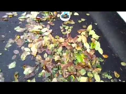 Crash Test Homie - Andreas Nyberg