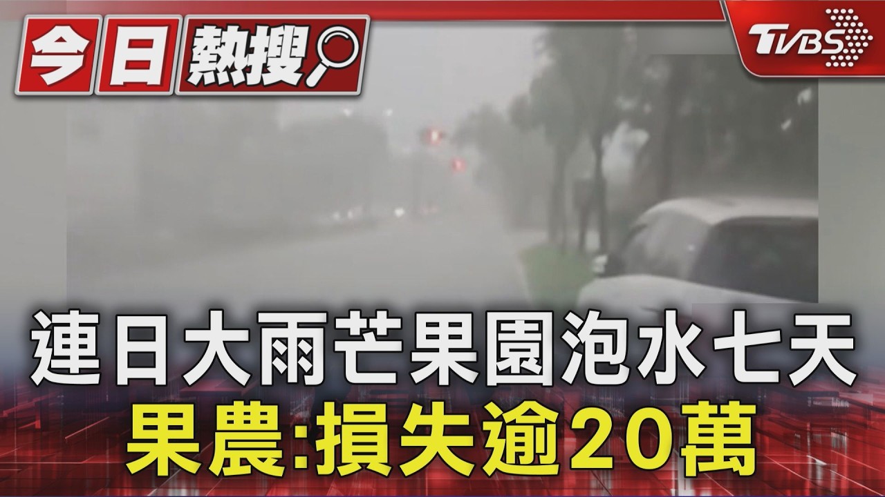 影音/南部大雨不停!芒果園連淹七天 近萬顆落果、損失逾20萬