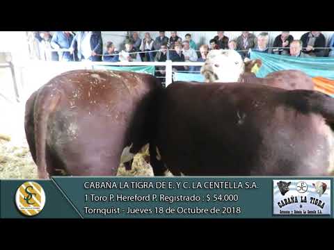 18-10-18 Venta de Toros Hereford P.R. - Cabaña La Tigra de Est. y Cab. La Centella  S.A. - Tornquist