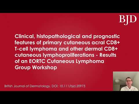 Dermal CD8+ lymphoproliferative disorders,  W. Kempf et al.