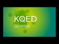 KQED Logo History More Recently And Updated Version