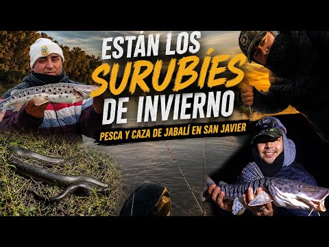 PESCA EN SAN JAVIER (SANTA FE)📍!!! TERRIBLE PESCA, CAZA Y EXCURSIÓN 🎣