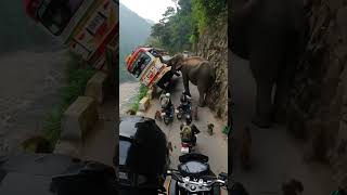 Download lagu 🐘🚌 Jalan Sempit Kacau! Gajah & Monyet Serbu Jalanan Penuh Kendaraan 😱 #shorts mp3 Download lagu 🐘🚌 Jalan Sempit Kacau! Gajah & Monyet Serbu Jalanan Penuh Kendaraan 😱 #shorts mp3