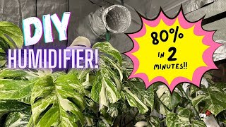The DIY Humidifier your Plants will LOVE