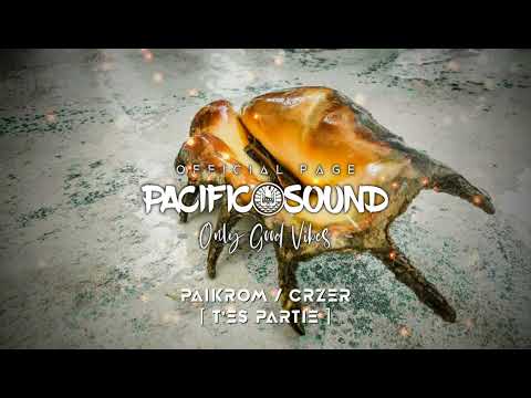 Paikrom / Crzer - T'es partie