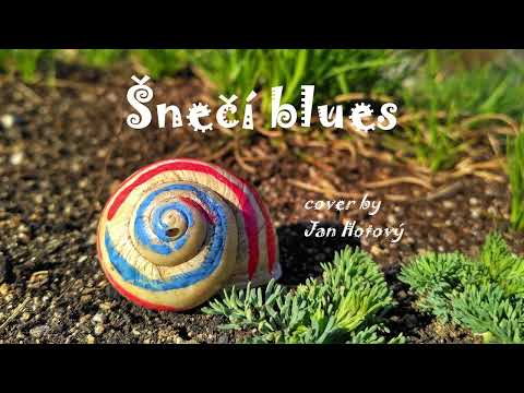 Šnečí blues - cover by Jan Hotový