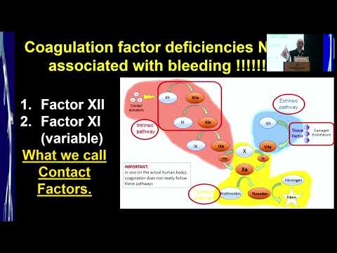 Anticoagulation beyond DOACS | Dr. Hanan Hamed (17 Feb 2024)