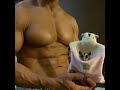 モフモフとムキムキのフクロモモンガがお迎えされて思った事は!ここがモフモフとムキムキの世界か!