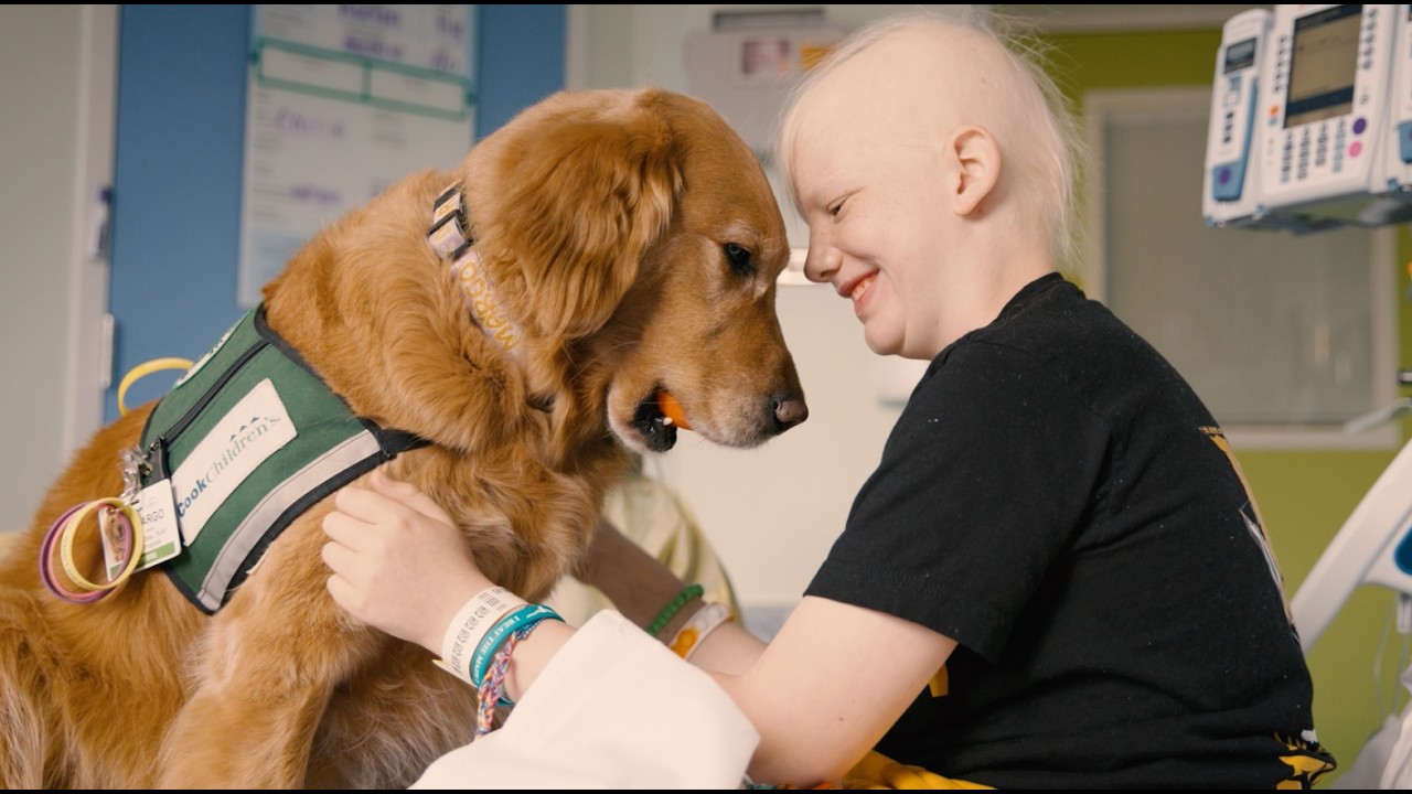 Sit Stay Play Facility Dog Program - video