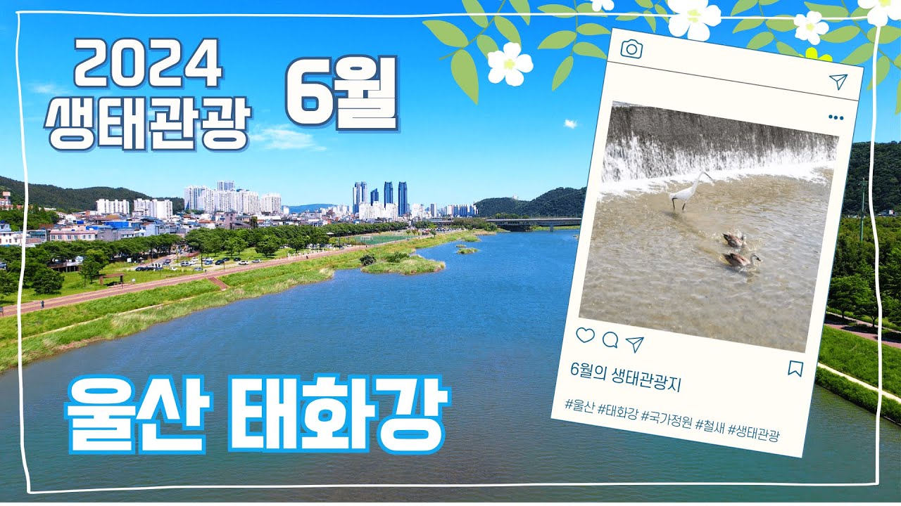 세계가 인정한 태화강의 생태 가치