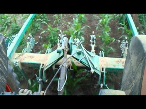 Bio Mais hacken und anhäufeln ohne GPS nach Turiel