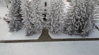 Winter Wonderland - Wishart SK