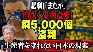 【悲劇】「またか」相次ぐ果物盗難！福岡県うきは市、梨・5,000個盗難…2年連続収穫直前の悲劇！生産者を守れない日本の現実、、、服部知事・海外研修5年で3億3,700万円発覚！