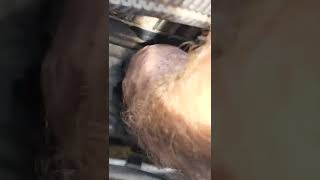 2013 ford taurus alternator replacement