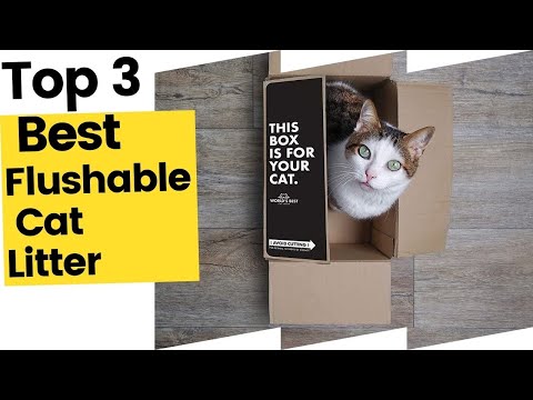 Best Flushable Cat Litter For Toilet Training
