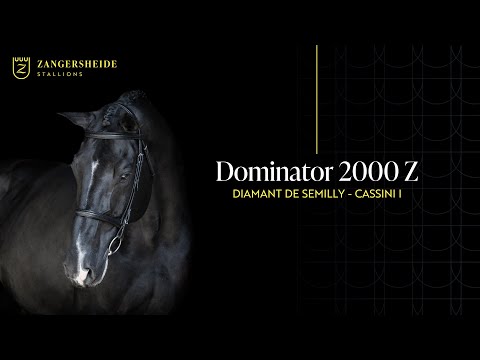 Dominator 2000 Z - Présentation des étalons 2025 FR