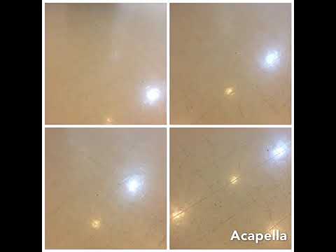 Promotional video thumbnail 2 for Bb