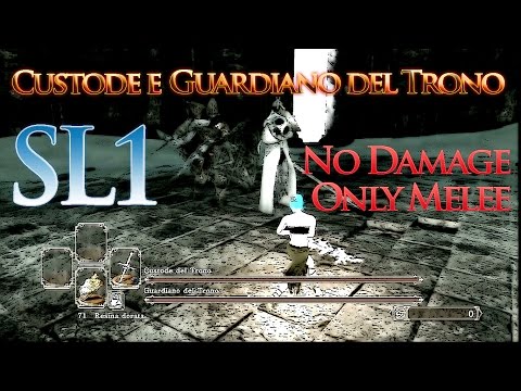 Dark Souls 2 SL1 " Custode e Guardiano del Trono " No Damage Only Melee Boss Ep. 24