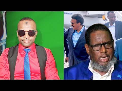 DEES GESCHICHTE (9264)