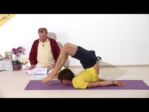 Volle Heuschrecke mit Füßen auf dem Boden neben den Ohren - Yoga Asana Lexikon