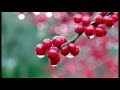 BURT BACHARACH - RAINDROPS KEEP FALLIN ...
