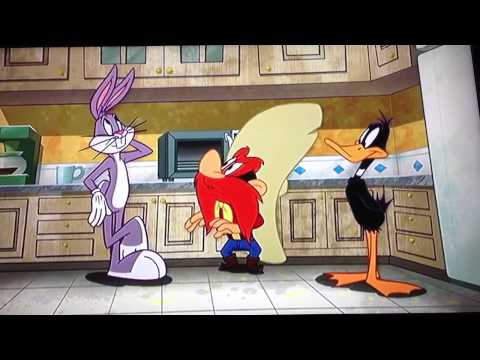 Fish and Visitors clip