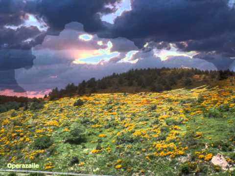 Felicity Lott: Litanei auf das Fest Aller Seelen by Schubert