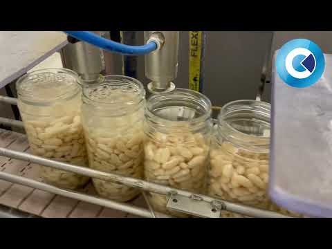 Celtech's Dosing Solutions