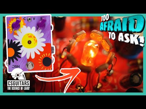 What's INSIDE a UNI-VIBE Effect? | Too Afraid To Ask