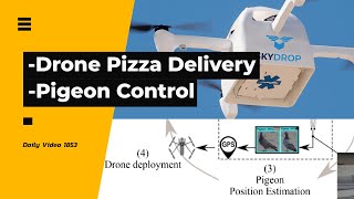 Dominos Pizza Delivery Drone, Autonomous Pigeon Pest Removal