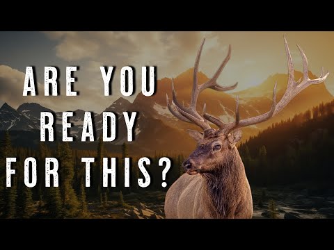 How to Hunt Alone - Solo Backcountry Mule Deer and Elk Hunting Tips