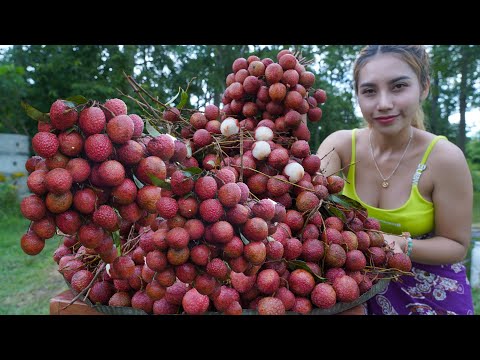 How to make fresh fruit jelly and juice recipe and eat - Amazing cooking
