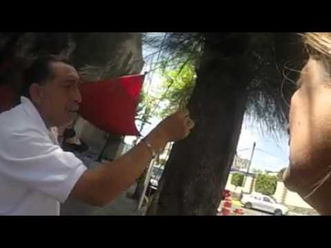 Megacuadrilla en la colonia San Joaquín