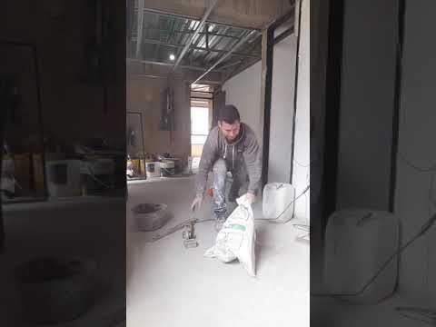 matando un gato callejero