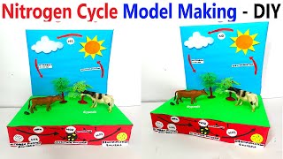 nitrogen cycle model making - diy - diypandit | DIY pandit