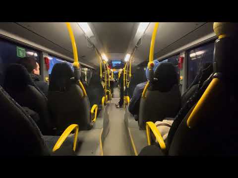 Citaro C2G #2248 ZF Ecolife OM936