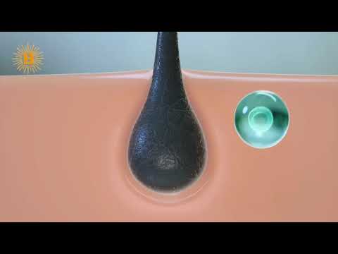 Dầu Gội B'Sun Hair Thảo Dược Hỗ Trợ Giảm Gàu Ngừa Rụng Tóc 5in1, Bô Kết Hà Thú O Dưỡng Tóc Chăc Khỏe 