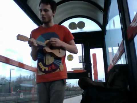 The Sun Goes Down and the World Goes Dancing - Magnetic Fields (Cover)
