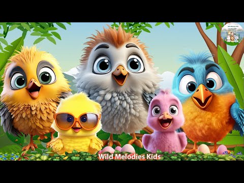 穏やかな野生動物の鳴き声: コウライウグイス、スズメ、ニワトリ、アヒル |動物のビデオ