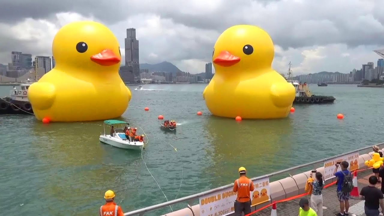59-Foot-Tall Rubber Ducks Float on Harbor