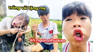 Tổng hợp video siêu hài hước vui nhộn, troll mẹ trồng vải mà mẹ cũng tin và cái kết cười bể bụng