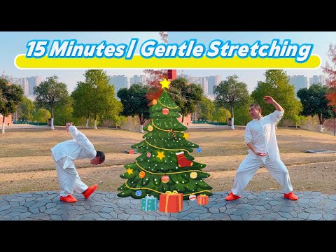 Revitalize Your Body in Just 15 Minutes| Gentle Stretching for Everyone!