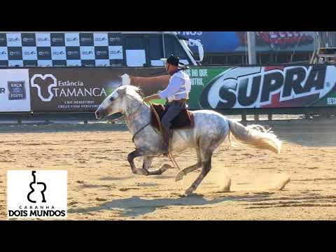 Madrugador 532 Da Reconquista no Freio de Ouro 2017