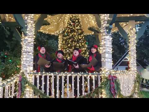 Promotional video thumbnail 1 for Christmas Harmony Singers