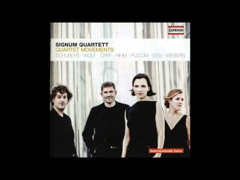 Schubert: Quartettsatz in c minor, D. 703 (Signum Quartet)