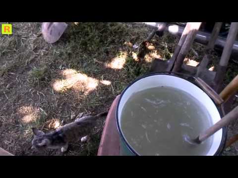 Замешиваем инвертируемый сироп пчёлам на пасике