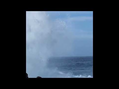 Socotra, Yemen  [Amazing Places 4K]