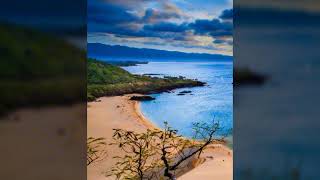 Seven Mary Three - Honey