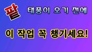 [텃밭농부. 1,177]  팥. 태풍에 대비하여 이런 작업 해 주세요! #팥재배
