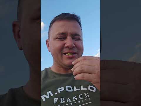 jatoba, vc conhece essa fruta ? #jatoba #Piauí #frutas #catuaba